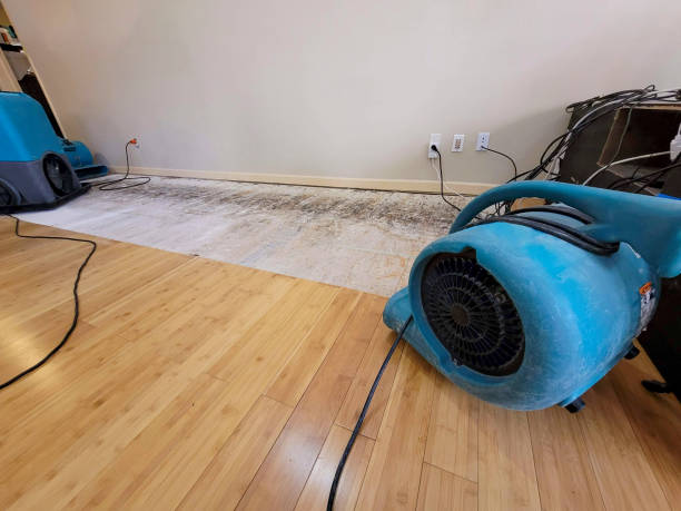 Professional Structural Drying technician working in Carleton, MI